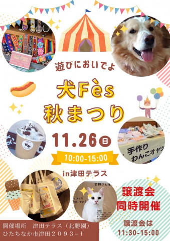 犬Fés秋祭り de 保護犬猫の譲渡会