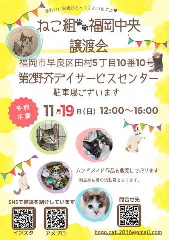 ねこ組🐾福岡中央譲渡会　第2野芥デイサービスセンター