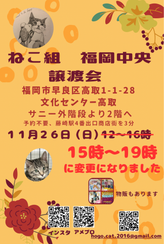 ねこ組🐾福岡中央譲渡会　文化センター高取