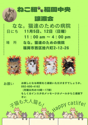 ねこ組🐾福岡中央譲渡会atなな。猫達のための病院