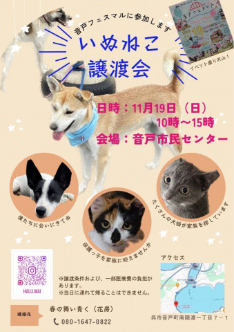 いぬねこ譲渡会