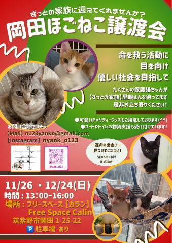 岡田ほごねこ譲渡会