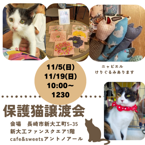 保護猫譲渡会