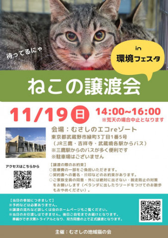 むさしの地域猫の会　譲渡会