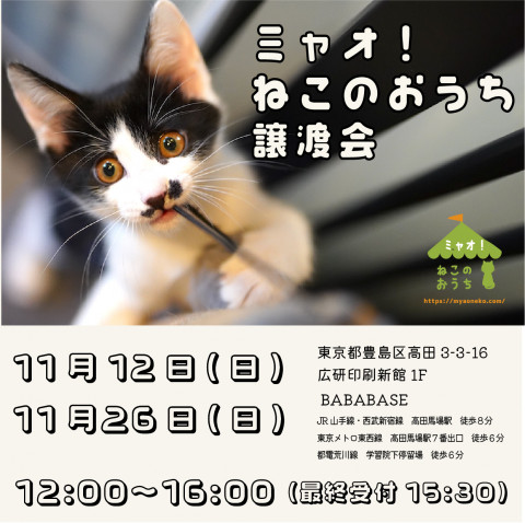 ミャオねこ譲渡会◆高田馬場