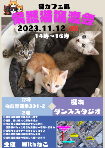 ☆猫カフェ風☆根本ダンススタジオ保護猫譲渡会