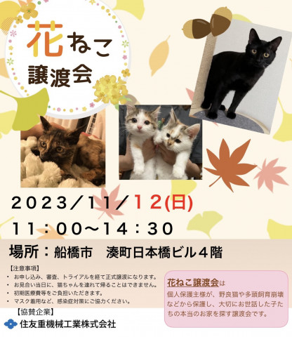 花ねこ譲渡会