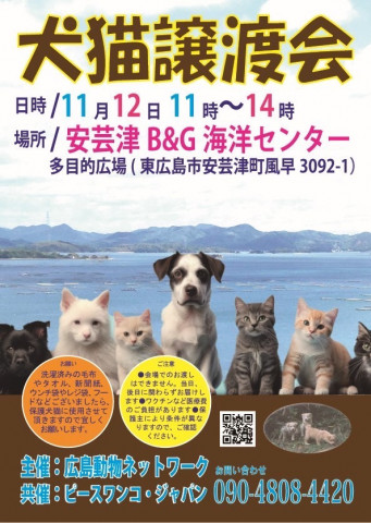 犬猫譲渡会