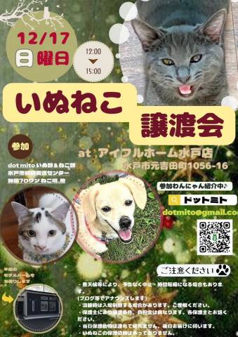 いぬねこ譲渡会