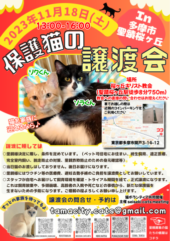 保護猫の譲渡会