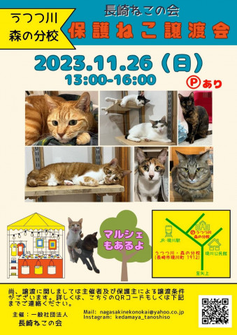 保護ねこ譲渡会&マルシェ inうつつ川･森の分校