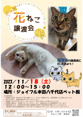 花ねこ譲渡会（ジョイフルホンダ八千代店ペット館）