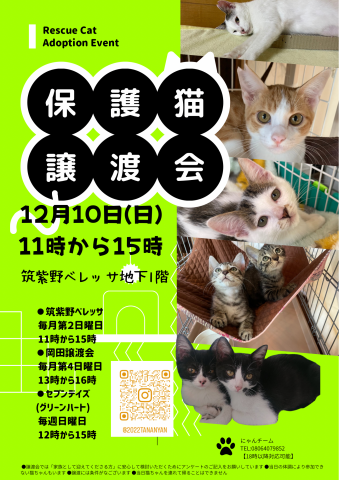 ほご猫譲渡会