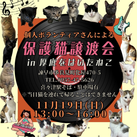 保護猫譲渡会 in 厚底をはいたねこ