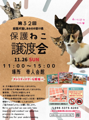 第３２回保護猫譲渡会in帝人会館