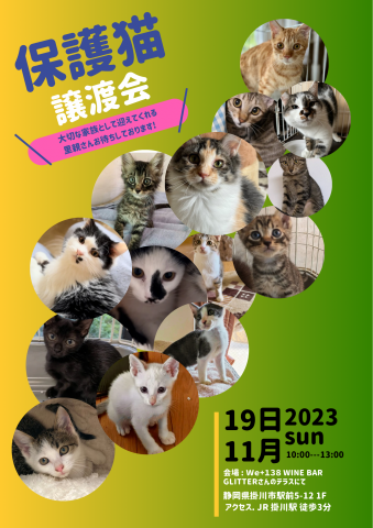 掛川市★保護猫譲渡会★