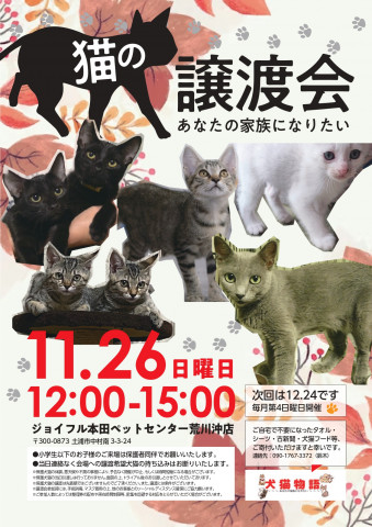 猫の譲渡会～あなたの家族になりたい～  