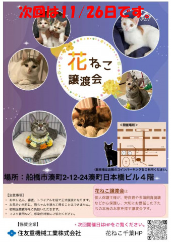 花ねこ譲渡会