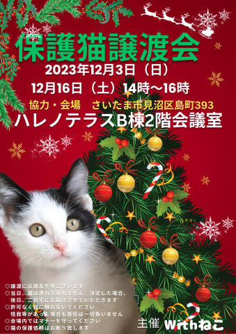 12/3（日）ハレノテラス保護猫譲渡会【さいたま市】