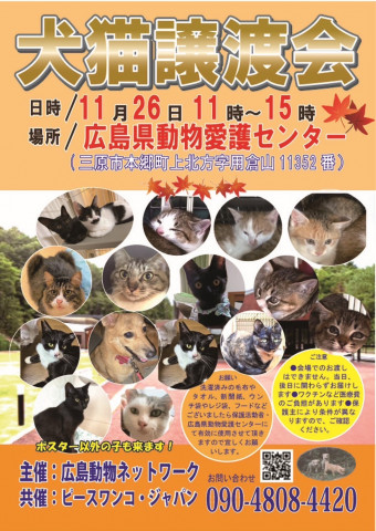 犬猫譲渡会