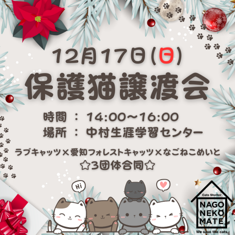 名古屋市 保護猫譲渡会