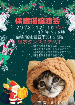 【柏市】12/10（日）根本ダンススタジオ保護猫譲渡会