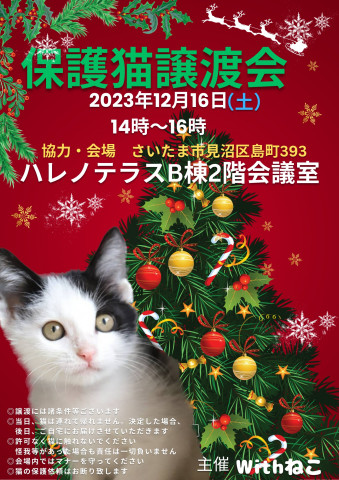 12/16（土）ハレノテラス保護猫譲渡会♡さいたま市