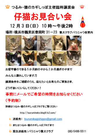 つるみ・猫のカギしっぽ　子猫のお見合い会12月３日（日）IN鶴見