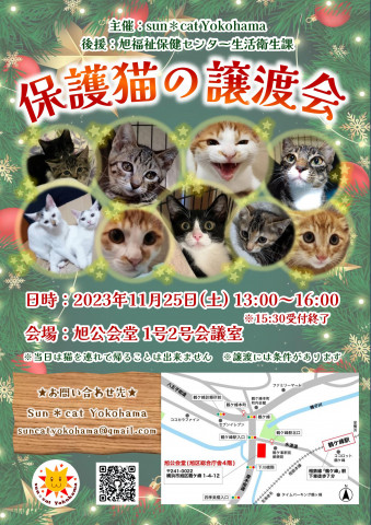 (横浜市旭区)保護猫の譲渡会