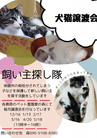 犬猫譲渡会in各務原愛の森