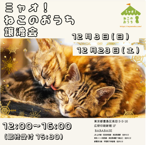 ミャオねこ譲渡会◆高田馬場