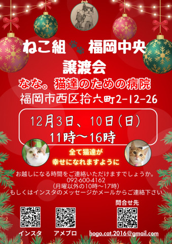 ねこ組🐾福岡中央譲渡会atなな。猫達のための病院