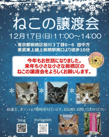 猫のあしあと　ねこの譲渡会(旧いた猫里親会)