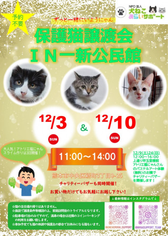 保護猫の譲渡会　in 一新公民館