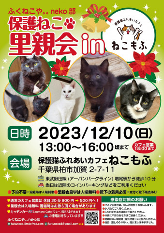 柏開催！保護ねこ里親会