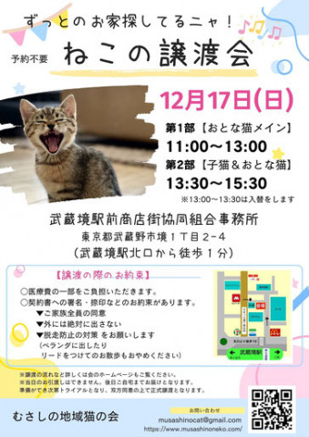 むさしの地域猫の会　譲渡会