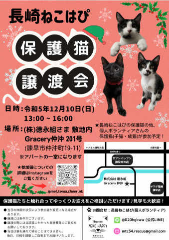 長崎ねこはぴ　保護猫譲渡会