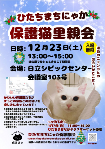 ひたちまちにゃか保護猫里親会