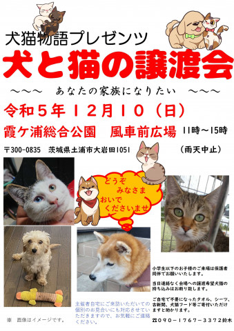 犬と猫の譲渡会～あなたの家族になりたい～　　