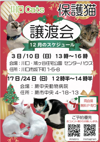 川口Cats保護猫譲渡会