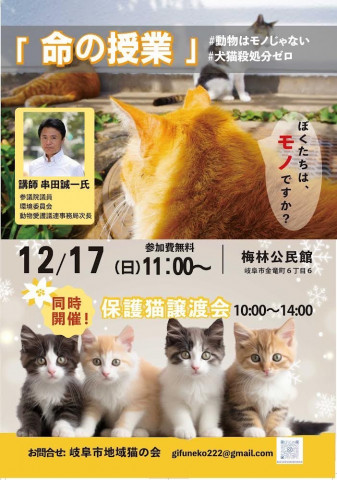 岐阜市地域猫の会  譲渡会