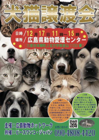 犬猫譲渡会