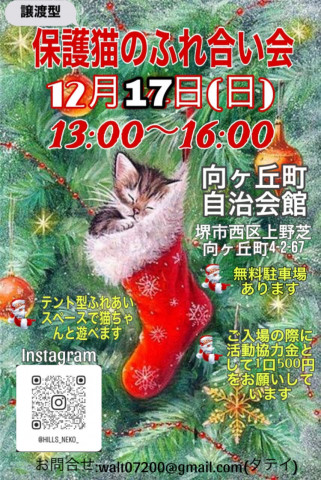 譲渡型　保護猫のふれあい会