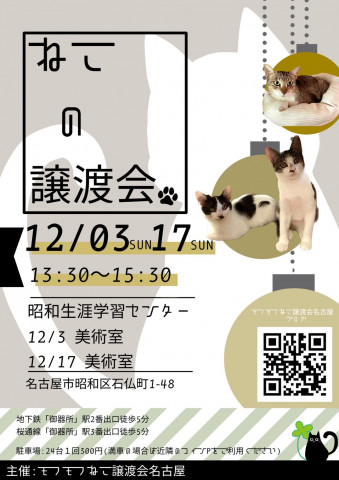 猫の譲渡会　in　名古屋市昭和生涯学習センター