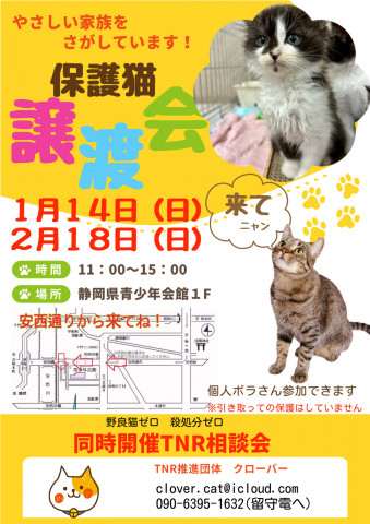 クローバー 保護猫譲渡会&TNR相談会 in 静岡市葵区