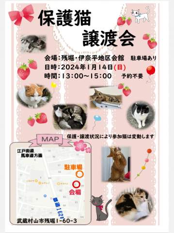 ★２０２４年★保護猫譲渡会★残堀伊奈平地区会館