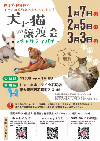 犬と猫の合同譲渡会