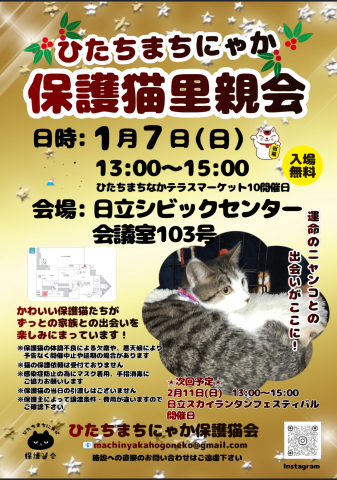 ひたちまちにゃか保護猫里親会