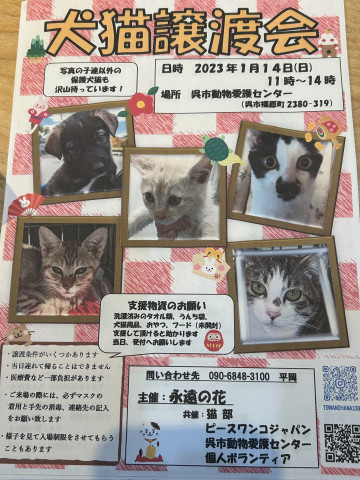 犬猫譲渡会