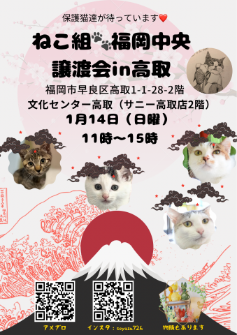 ねこ組🐾福岡中央譲渡会　文化センター高取